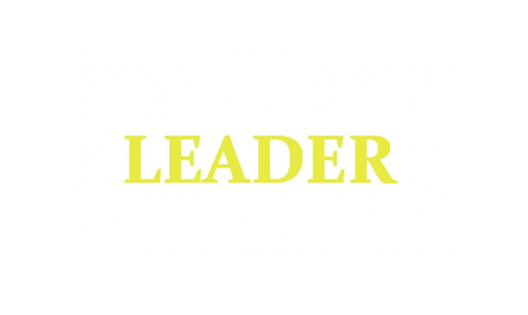 Мошенническая контора Leader Money: обзор и отзывы пользователей
