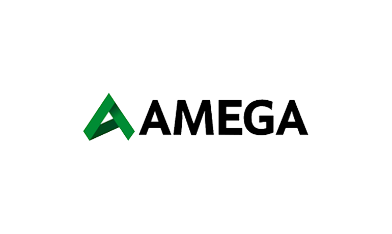 Подробный обзор брокерской организации AMEGA и отзывы о ней
