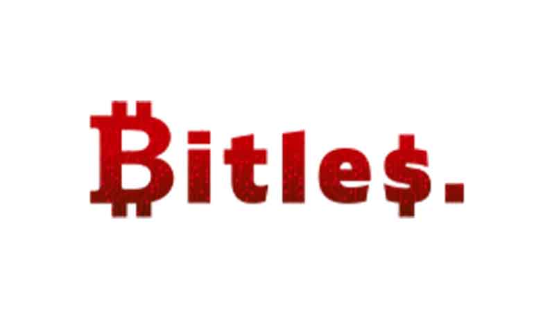 Bitles – псевдоброкер-нелегал, присваивающий чужие деньги